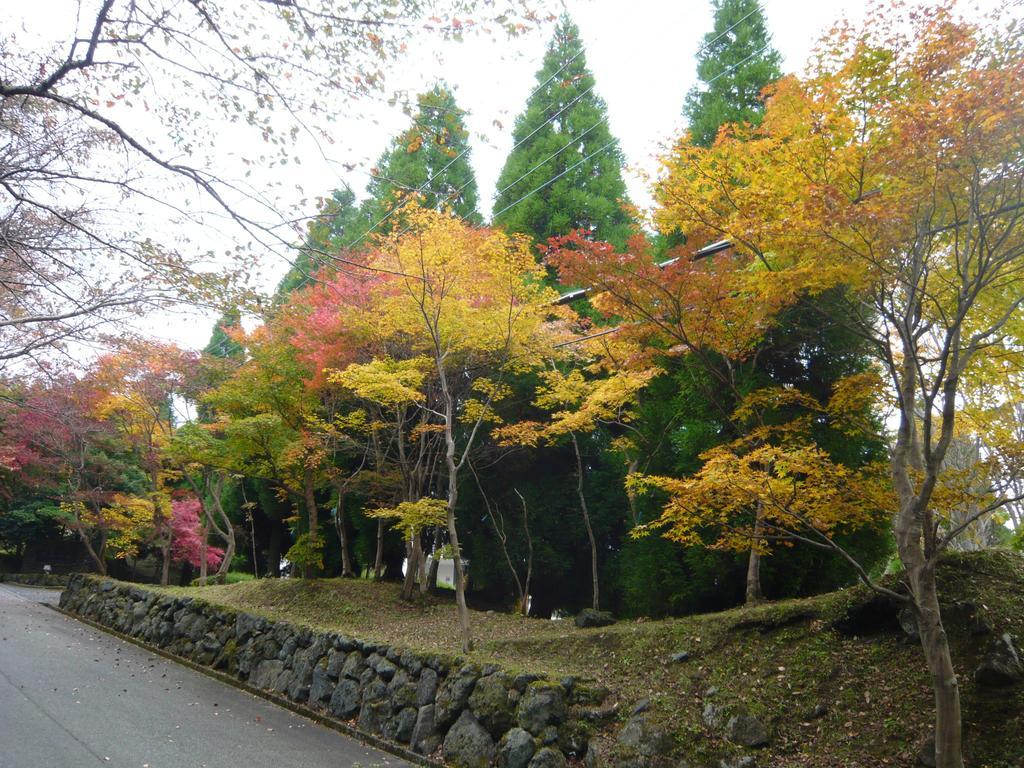 Pension Bell Bird 阿苏市 外观 照片